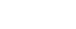 Bird's Eye Comics